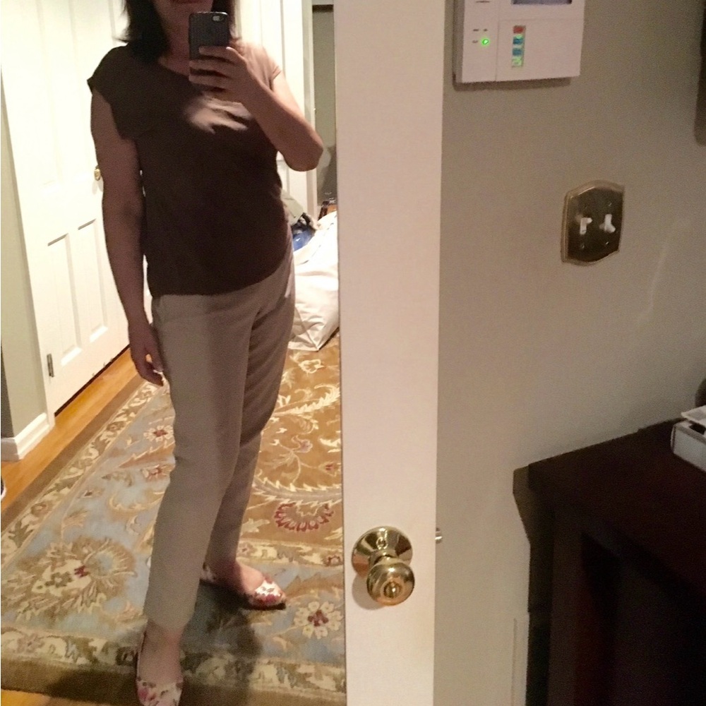 Tahari Straight Leg Side Zip Slacks Stone Color Size 10